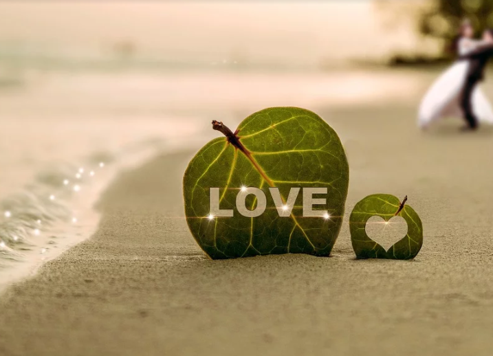 1578119179284870.png image.png