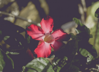 男生的网名好听又帅气