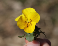 帅气又好听的男生昵称