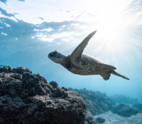 最悲伤的几句话