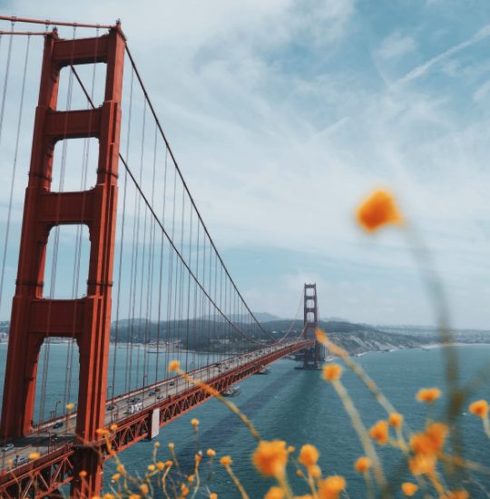 1578469830715704.png image.png