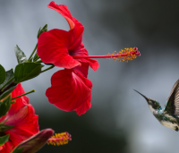 职场励志语录心灵鸡汤