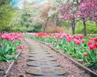 自我调侃的幽默语句 自我调侃语录