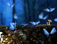 骂别人小人的句子 送给小人的经典语句