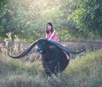 光棍节幽默搞笑语录