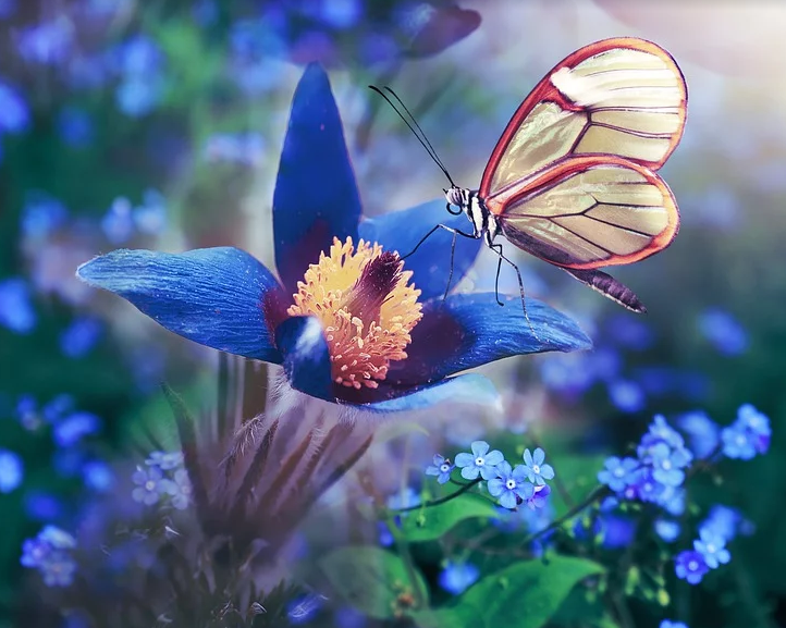 1579070221178409.png image.png