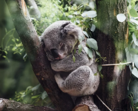 高考倒计时励志语简短