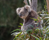 健康语录正能量句子
