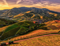 国创意奶茶店名字 霸气的奶茶店名字大全