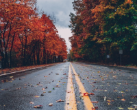 情侣微博昵称小清新