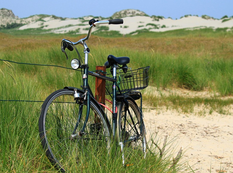 1585629925163865.png image.png