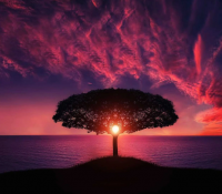 酒屋创意名字 适合啤酒屋的名字