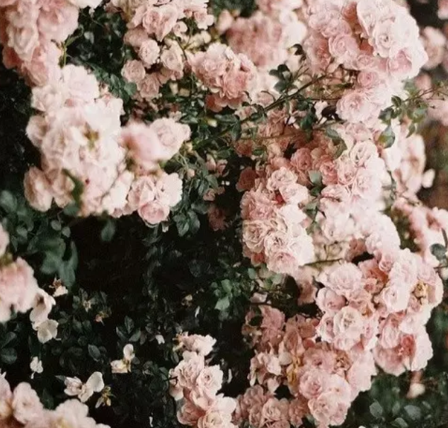 1587106033193643.png image.png