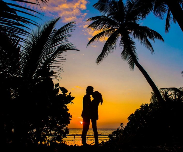 1587135348574216.png image.png