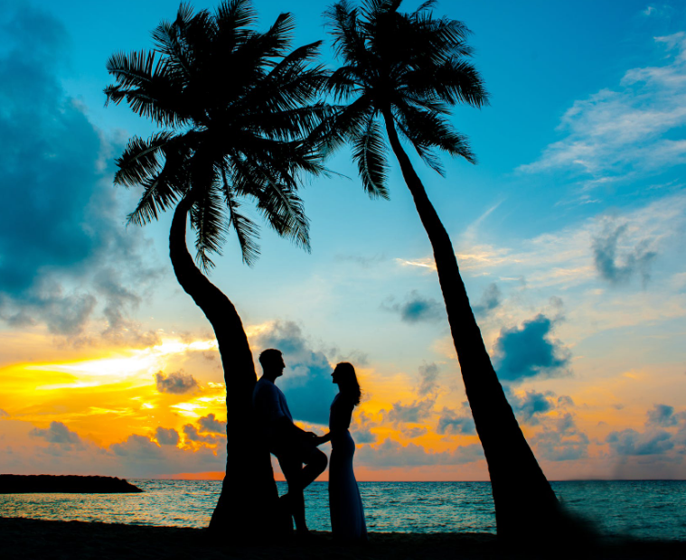 1587136781820099.png image.png