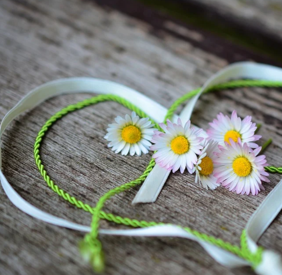 1587616656615010.png image.png