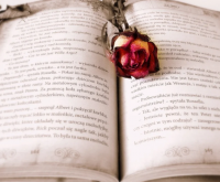 黑暗冰冷网名女生 女生高冷女王范名字