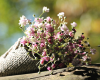 简短又搞笑一句精辟而有内涵的句子