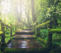 最火的蔬菜水果店名 好听的蔬菜店名字大全吸引