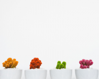 独一无二的玉器店店名 寓意好的玉石店名大全