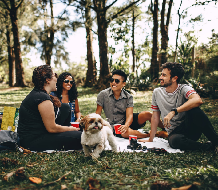 1587913600838259.png image.png