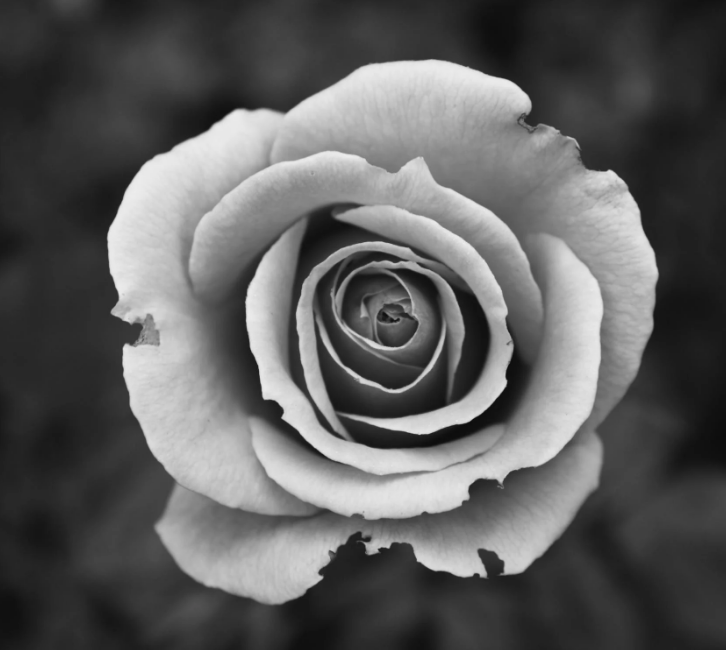 1587976072125820.png image.png