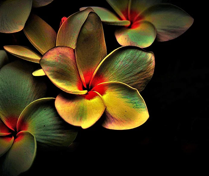 1587977437129198.png image.png