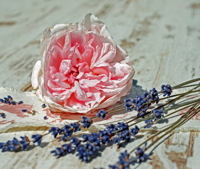 1587996656704042.png image.png