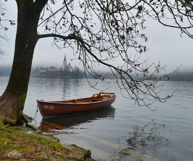 1587997315131840.png image.png