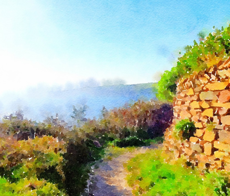 1587999526868811.png image.png