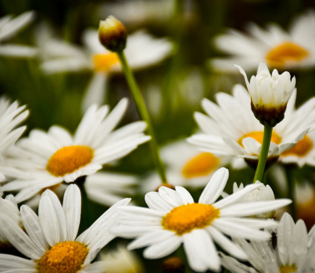 1587999614102850.png image.png