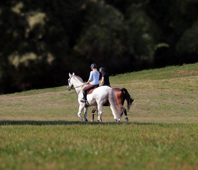 1588000141258965.png image.png