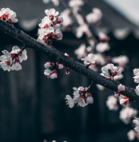 关于清醒的名言 保持清醒的名言