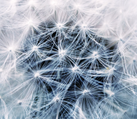 早安心语英文简单一句话 早安语录英文翻译励志