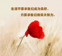 个性签名霸气超拽有范 超拽的女生个性签名