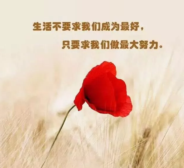 1590647143123854.png image.png