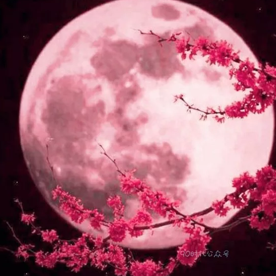 1590649620313400.png image.png