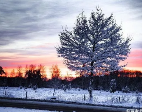 1592297062139719.png image.png