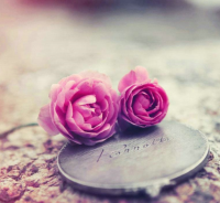 经典优美散文片段摘抄 高中摘抄优美段落散文