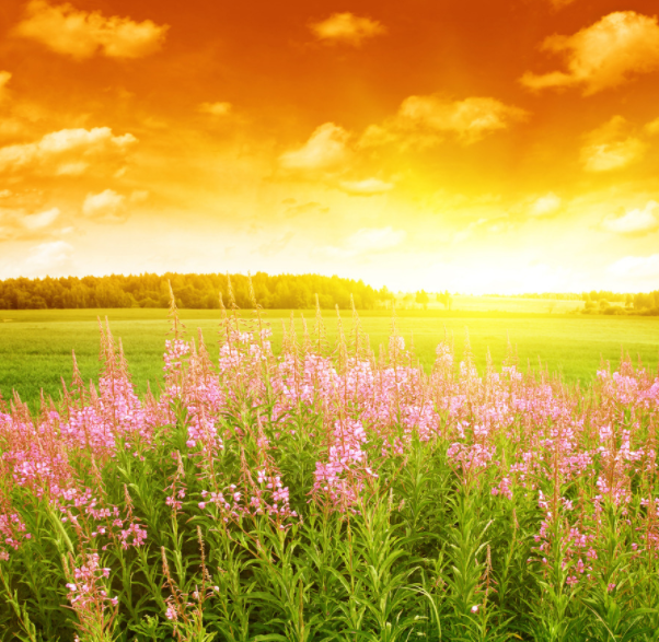 1592297588140997.png image.png