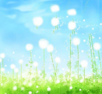 有关八月的优美句子 关于八月的唯美句子