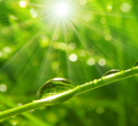 平安夜微信朋友圈 平安夜微信朋友圈简单