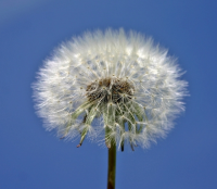 家长寄语大全初中 家长寄语大全简短