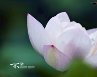 下雨了想发个朋友圈 形容下雨天的心情短语