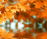 精选的知识竞赛参赛宣言 参加知识竞赛宣言