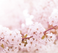 把女朋友撩湿的污句子 把女朋友撩到哭的暖句子