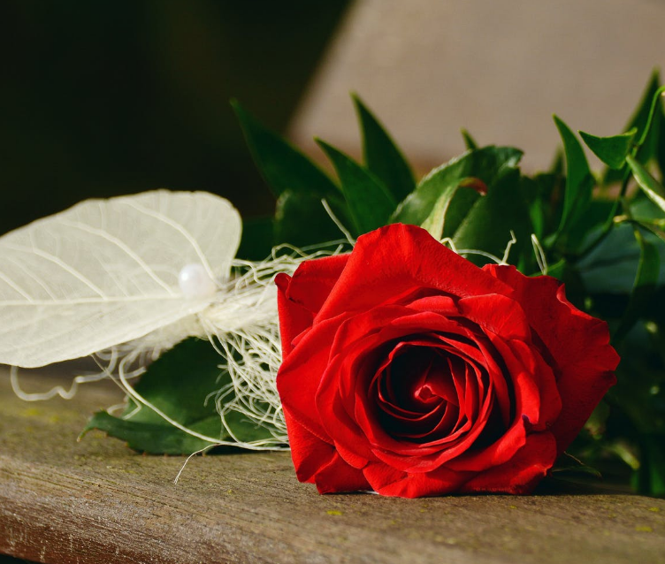 1593714999557648.png image.png