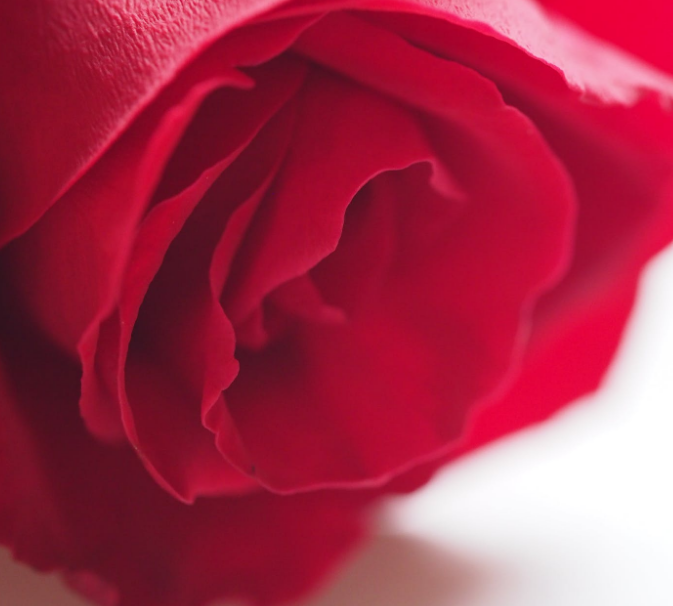 1593717014489357.png image.png