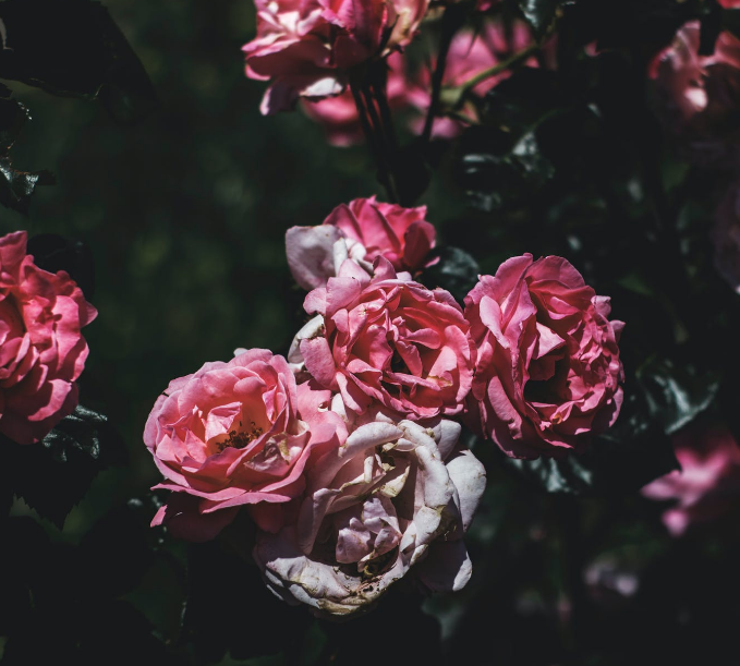 1593718193354237.png image.png