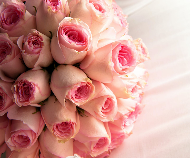 1593719332677062.png image.png